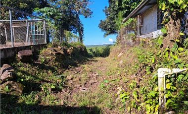 VENDO CUATRO HECTAREAS CON AGUA VIVA EN BOQUERON