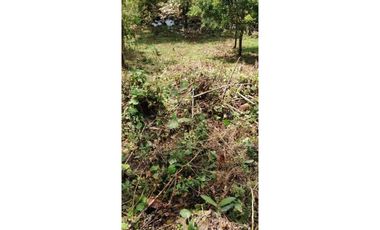 VENDO CUATRO HECTAREAS CON AGUA VIVA EN BOQUERON