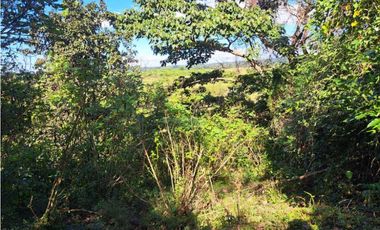 VENDO CUATRO HECTAREAS CON AGUA VIVA EN BOQUERON