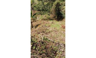 VENDO CUATRO HECTAREAS CON AGUA VIVA EN BOQUERON