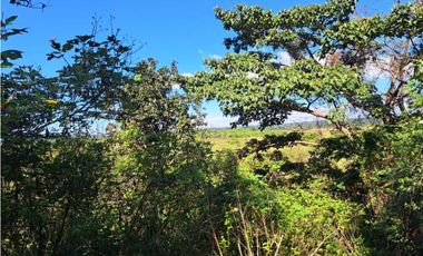 VENDO CUATRO HECTAREAS CON AGUA VIVA EN BOQUERON