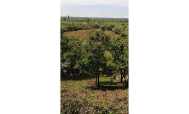 VENDO CUATRO HECTAREAS CON AGUA VIVA EN BOQUERON