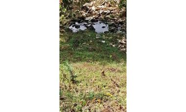 VENDO CUATRO HECTAREAS CON AGUA VIVA EN BOQUERON