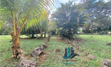 ALQUILO CASA AMOBLADA CON 1 HECTAREA DE TERRENO