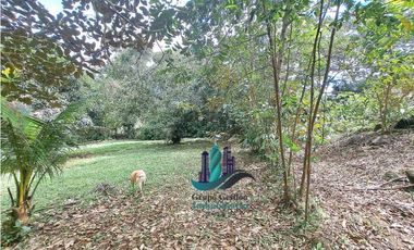 ALQUILO CASA AMOBLADA CON 1 HECTAREA DE TERRENO