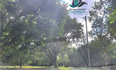 ALQUILO CASA AMOBLADA CON 1 HECTAREA DE TERRENO