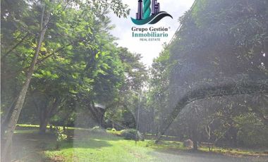 ALQUILO CASA AMOBLADA CON 1 HECTAREA DE TERRENO