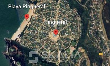 Sitio en Venta en Pingueral