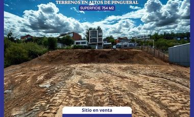 Sitio en Venta en Pingueral