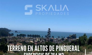Sitio en Venta en Pingueral