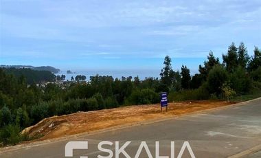 Sitio en Venta en Pingueral