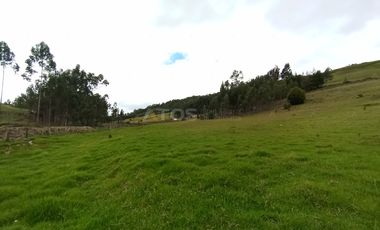 FINCA en VENTA en Chivata VEREDA SIATOCA