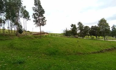 FINCA en VENTA en Chivata VEREDA SIATOCA