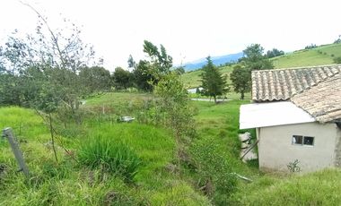 FINCA en VENTA en Chivata VEREDA SIATOCA
