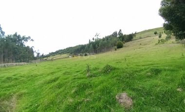 FINCA en VENTA en Chivata VEREDA SIATOCA