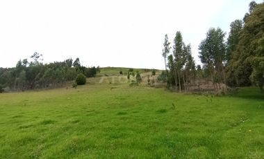 FINCA en VENTA en Chivata VEREDA SIATOCA