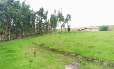 FINCA en VENTA en Chivata VEREDA SIATOCA