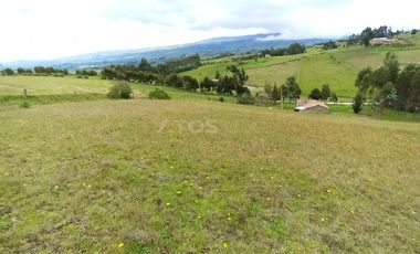 FINCA en VENTA en Chivata VEREDA SIATOCA