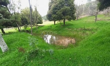 FINCA en VENTA en Chivata VEREDA SIATOCA