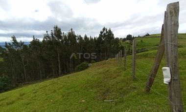 FINCA en VENTA en Chivata VEREDA SIATOCA