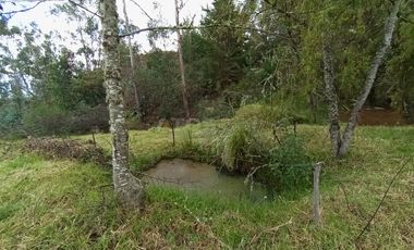 FINCA en VENTA en Chivata VEREDA SIATOCA