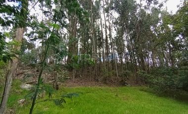 FINCA en VENTA en Chivata VEREDA SIATOCA