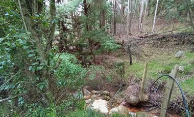 FINCA en VENTA en Chivata VEREDA SIATOCA