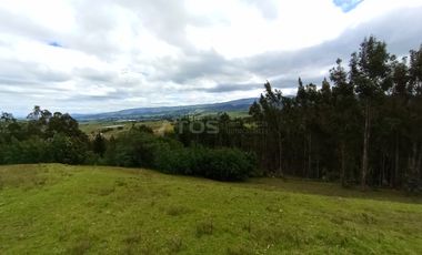 FINCA en VENTA en Chivata VEREDA SIATOCA