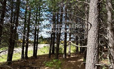 Encantador Terreno en  venta El Desafio Mza D - San Martin de los Andes