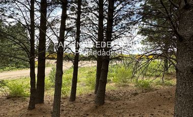 Encantador Terreno en  venta El Desafio Mza D - San Martin de los Andes