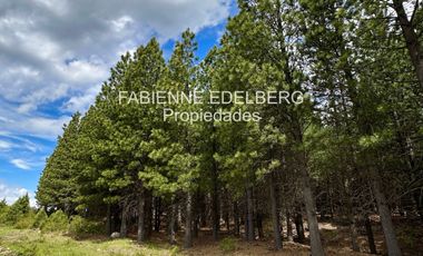 Encantador Terreno en  venta El Desafio Mza D - San Martin de los Andes