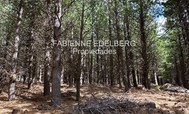 Encantador Terreno en  venta El Desafio Mza D - San Martin de los Andes