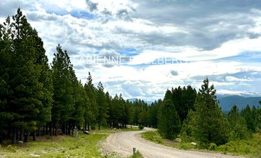 Encantador Terreno en  venta El Desafio Mza D - San Martin de los Andes