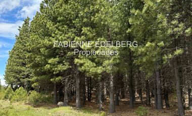 Encantador Terreno en  venta El Desafio Mza D - San Martin de los Andes