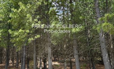 Encantador Terreno en  venta El Desafio Mza D - San Martin de los Andes