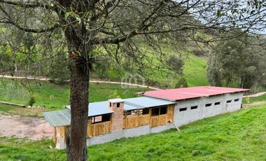 PROPIEDAD EN VENTA SECTOR TUTUPALI CHICO CUENCA