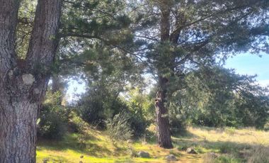 Terreno en venta en San Fabián de Alico, Ñuble.