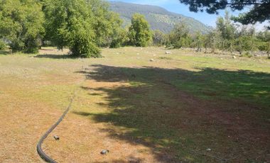 Terreno en venta en San Fabián de Alico, Ñuble.