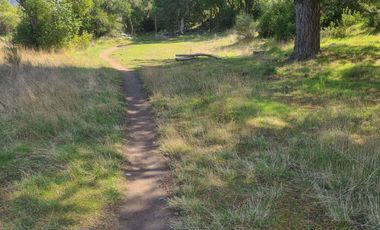 Terreno en venta en San Fabián de Alico, Ñuble.
