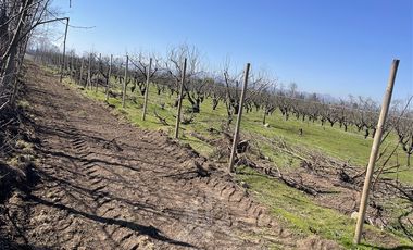 Agrícola en Venta en PARCELA N° 69 DEL PROYECTO DE PARCELACION SECTOR GUAICO UNO