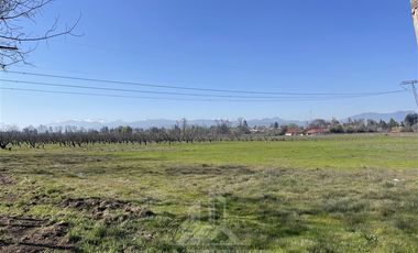 Agrícola en Venta en PARCELA N° 69 DEL PROYECTO DE PARCELACION SECTOR GUAICO UNO