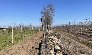 Agrícola en Venta en PARCELA N° 69 DEL PROYECTO DE PARCELACION SECTOR GUAICO UNO