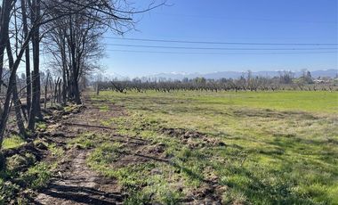 Agrícola en Venta en PARCELA N° 69 DEL PROYECTO DE PARCELACION SECTOR GUAICO UNO