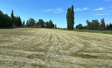 Parcela en Venta en Haras Santa Amelia