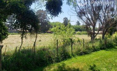 Agrícola en Venta en el cardal