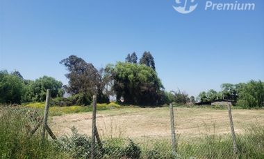 Agrícola en Venta en el cardal