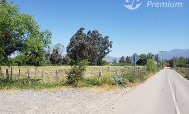 Agrícola en Venta en el cardal