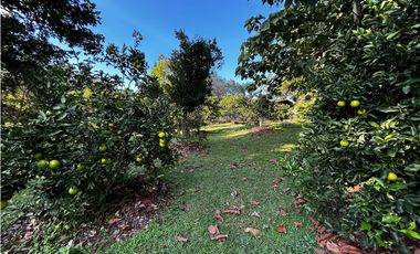 Finca Campestre en Venta, Vereda El Noral, Copacabana
