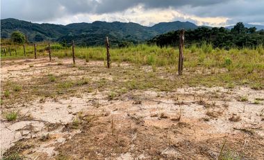 Venta de Lote en Guatapé, Antioquia | Vista al embalse.