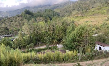 Venta de Lote en Guatapé, Antioquia | Vista al embalse.